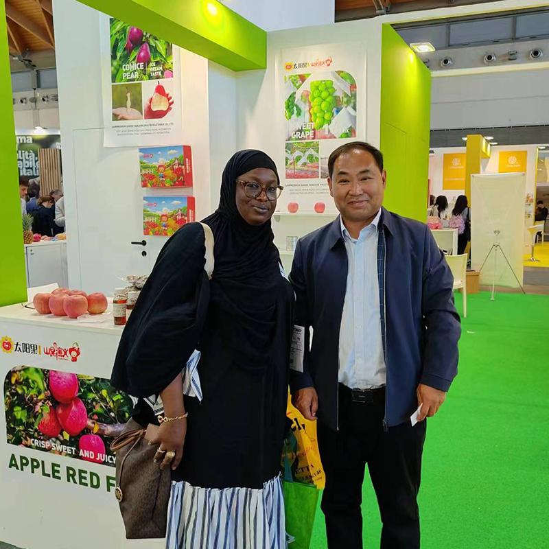 September 2023  Fruits Party shine muscat Planting base Bountiful Harvest