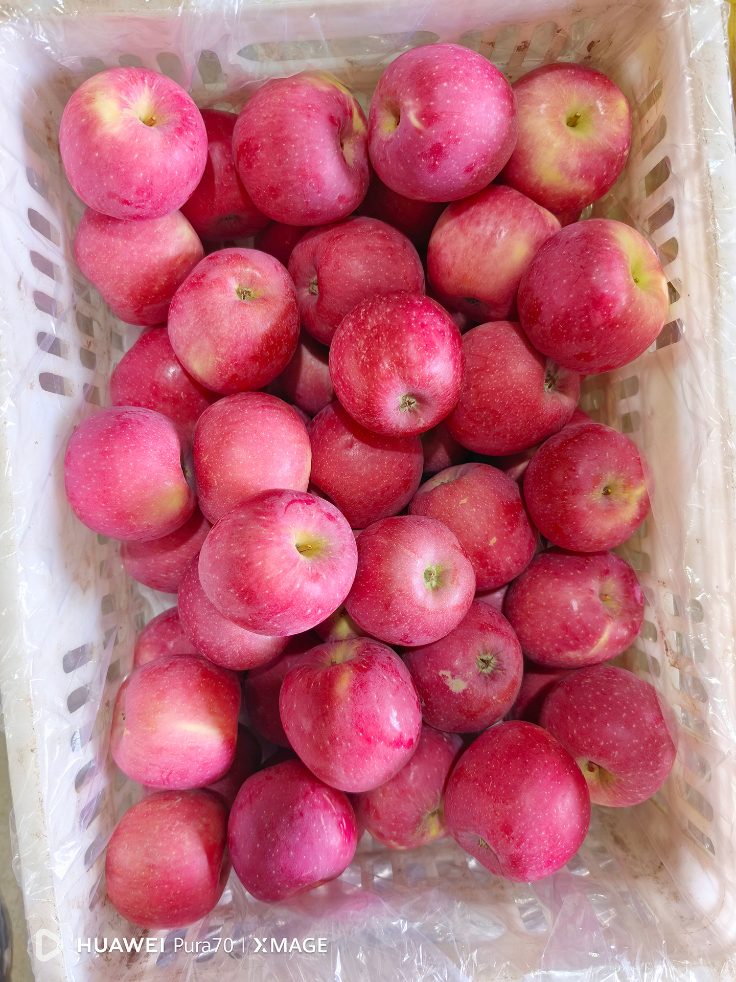 FRUITS PARTY科技赋能，智能分拣