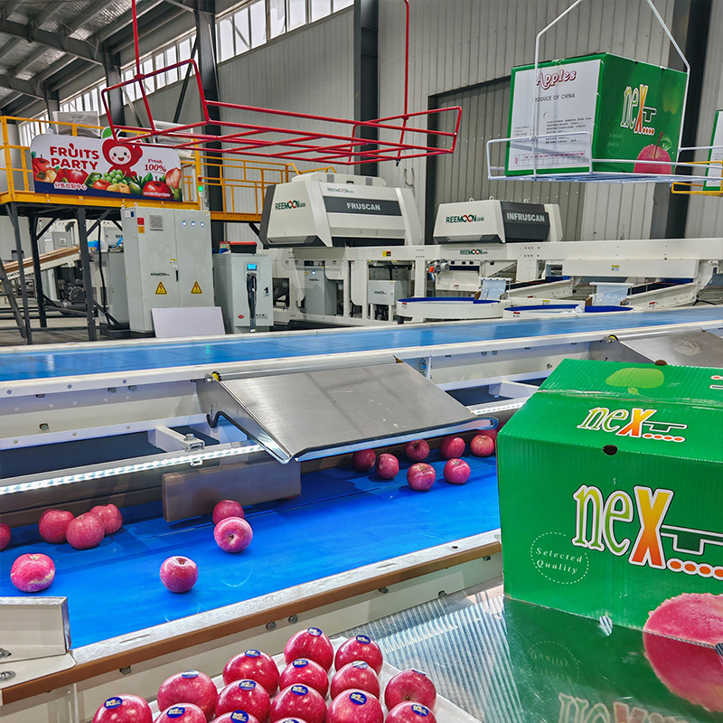 FRUITS PARTY科技赋能，智能分拣