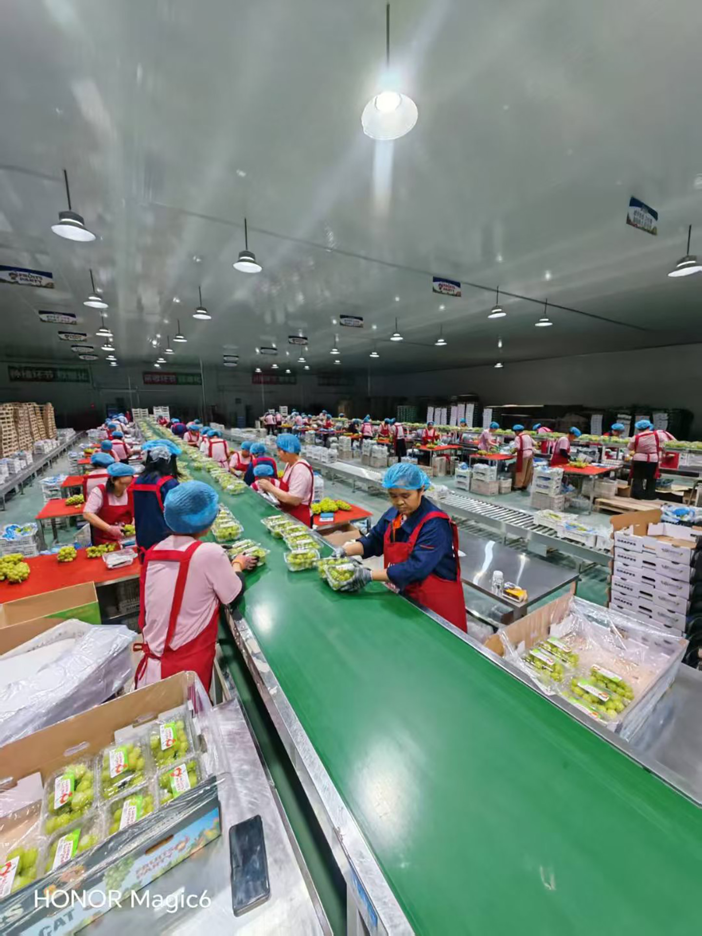 恒温车间，一片火热忙碌景象