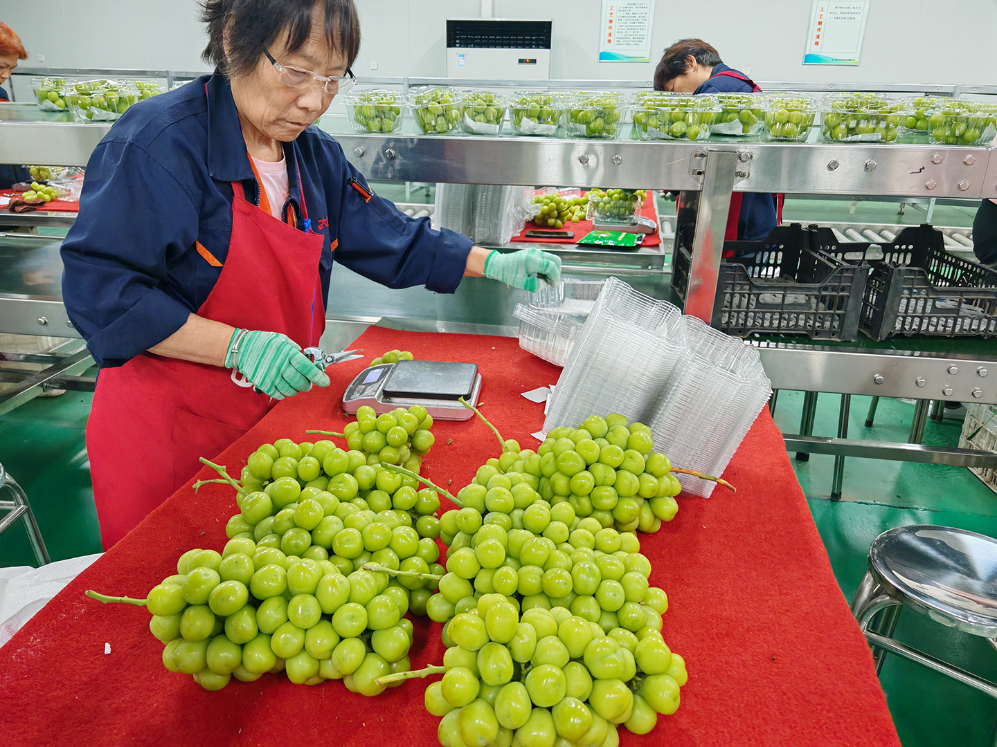 恒温车间，一片火热忙碌景象