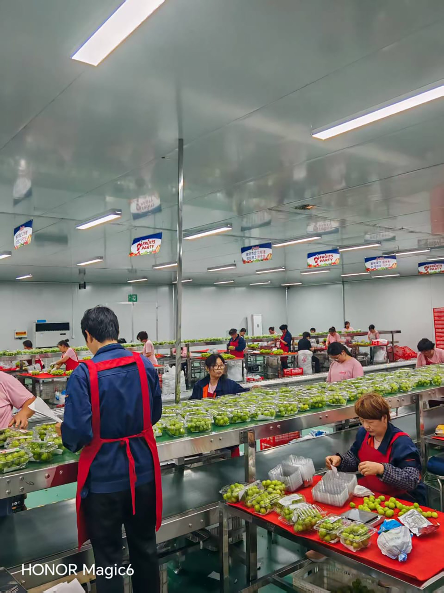 恒温车间，一片火热忙碌景象