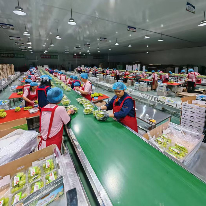 恒温车间，一片火热忙碌景象