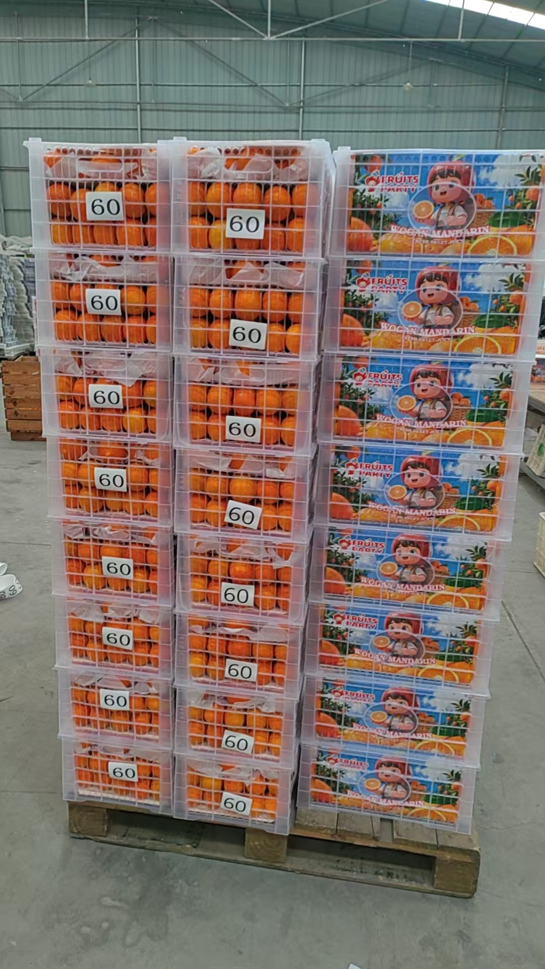 2026年沃柑出口季正在进行时，FRUITS PARTY享誉国外市场