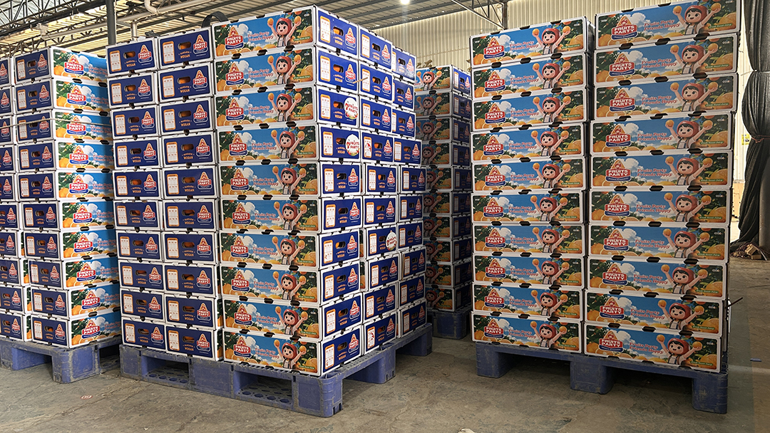 2026年沃柑出口季正在进行时，FRUITS PARTY享誉国外市场