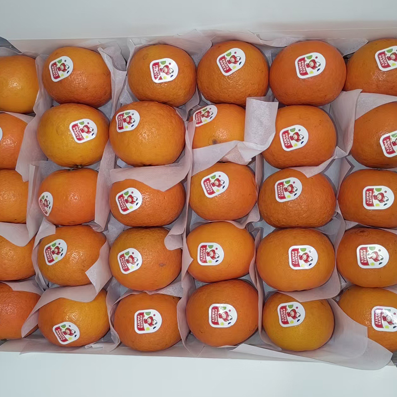 2026年沃柑出口季正在进行时，FRUITS PARTY享誉国外市场