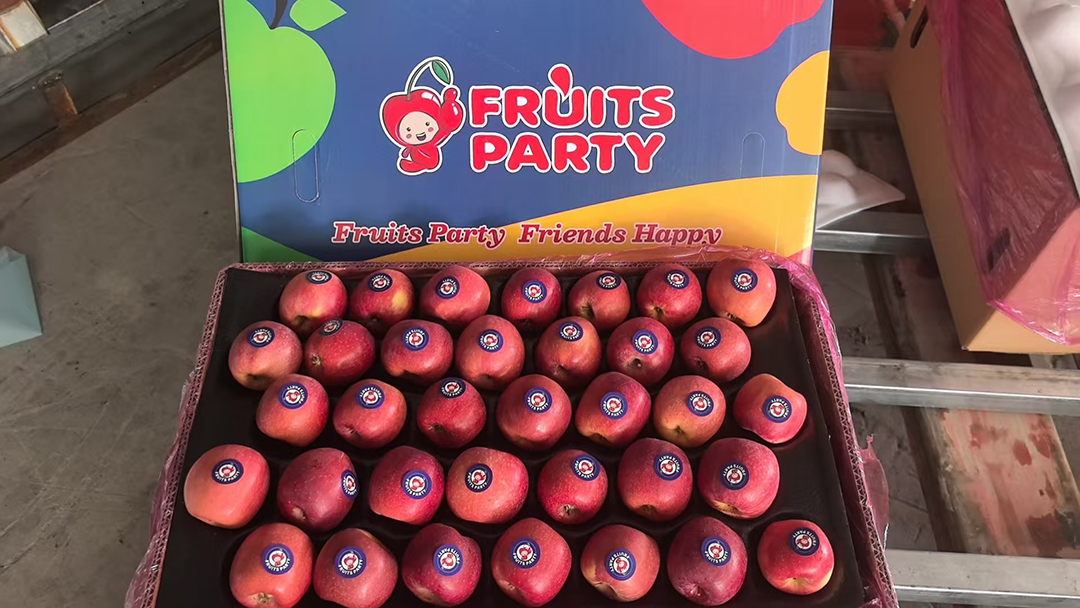 三门峡苹果飘香海外，26年苹果出口业务持续增长