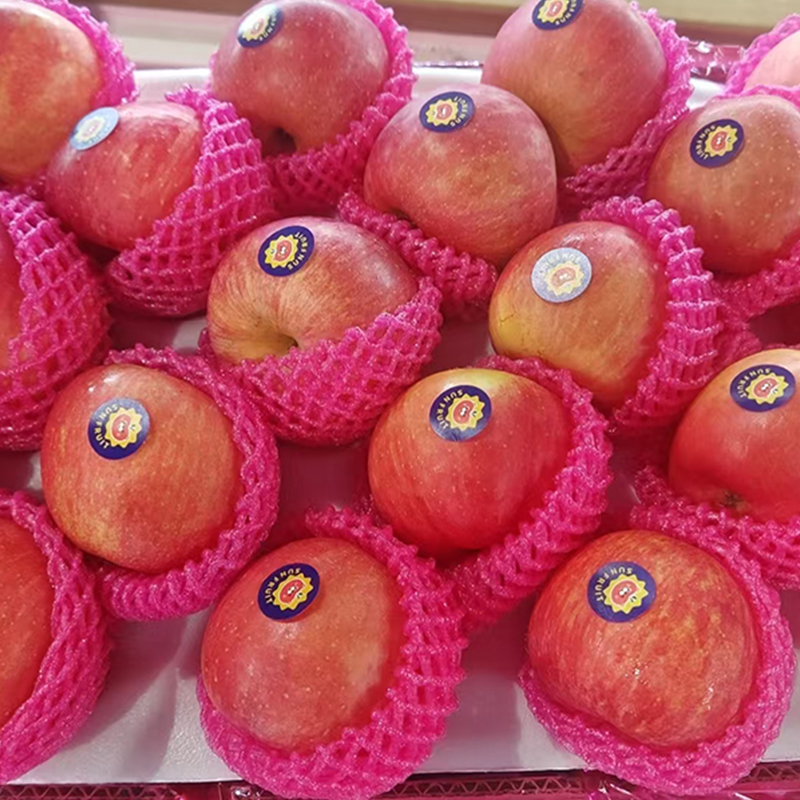 2026年沃柑出口季正在进行时，FRUITS PARTY享誉国外市场