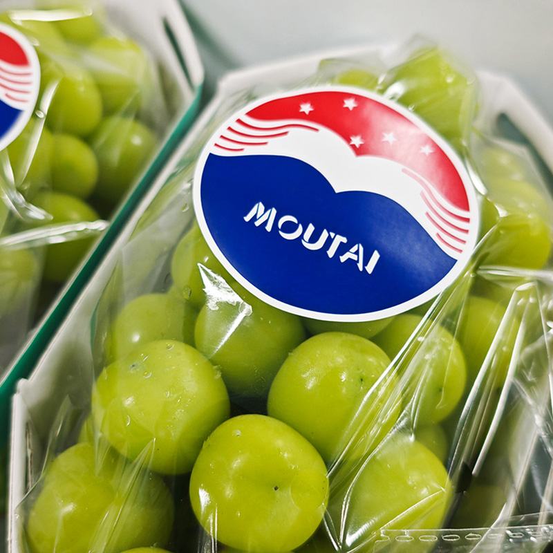 喜逢陕州 玫园共酌